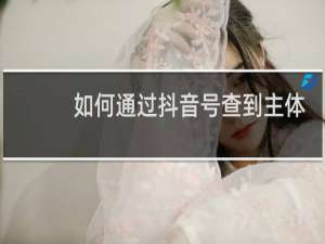 如何通过抖音号查到主体信息