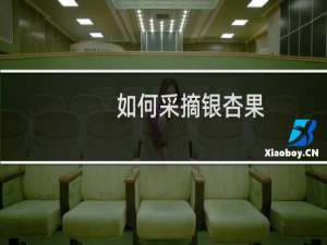 如何采摘银杏果