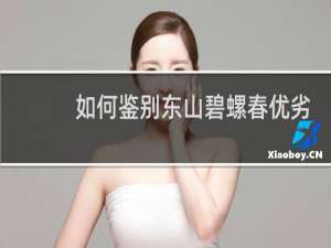 如何鉴别东山碧螺春优劣