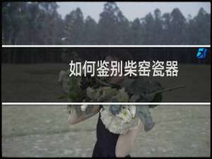 如何鉴别柴窑瓷器