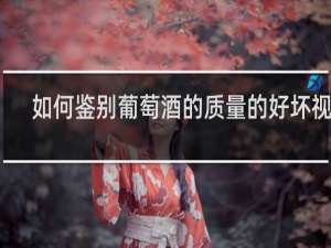 如何鉴别葡萄酒的质量的好坏视频