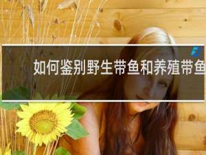 如何鉴别野生带鱼和养殖带鱼