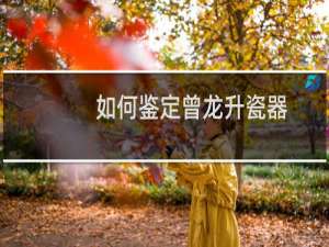 如何鉴定曾龙升瓷器