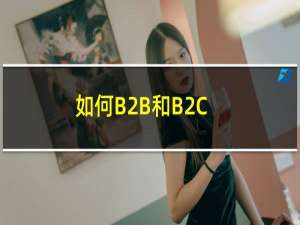 如何B2B和B2C