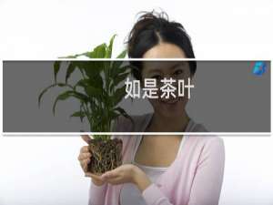 如是茶叶