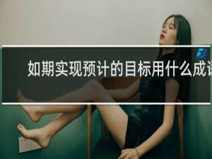 如期实现预计的目标用什么成语