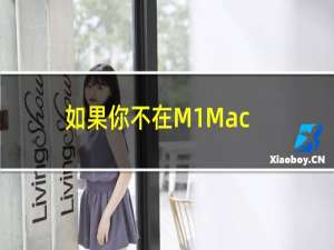 如果你不在M1MacBookAirProMini上安装iPhone应用程序