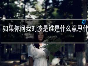 如果你问我刘波是谁是什么意思什么梗