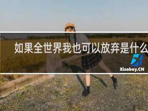 如果全世界我也可以放弃是什么歌