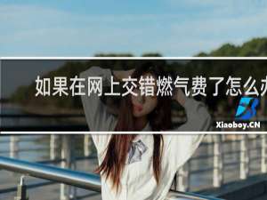 如果在网上交错燃气费了怎么办