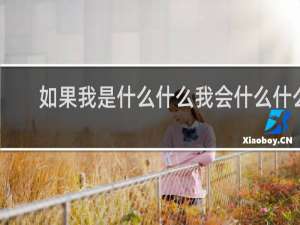 如果我是什么什么我会什么什么