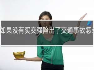 如果没有买交强险出了交通事故怎么处理