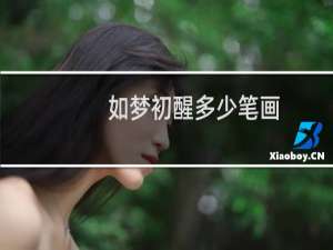 如梦初醒多少笔画