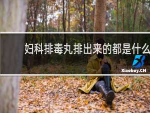 妇科排毒丸排出来的都是什么