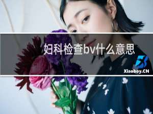 妇科检查bv什么意思