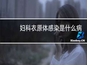 妇科衣原体感染是什么病