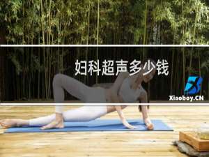 妇科超声多少钱