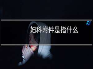 妇科附件是指什么