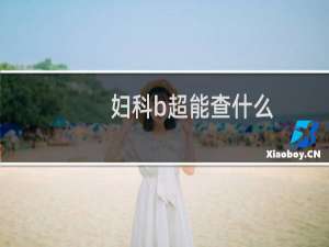 妇科b超能查什么