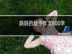 妈妈的给予作文600字