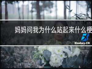 妈妈问我为什么站起来什么梗