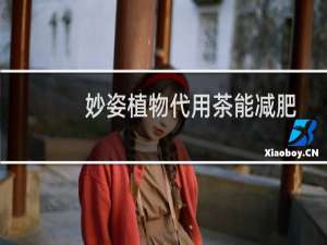 妙姿植物代用茶能减肥吗（妙植素Miozs是什么档次）