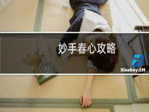 妙手春心攻略