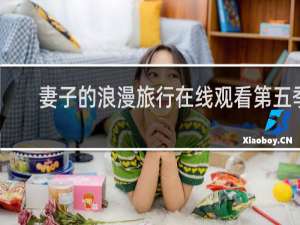 妻子的浪漫旅行在线观看第五季