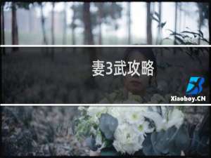 妻3武攻略