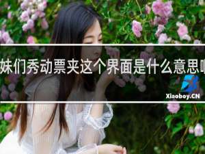 姐妹们秀动票夹这个界面是什么意思啊什么梗