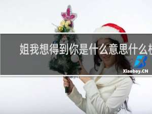 姐我想得到你是什么意思什么梗