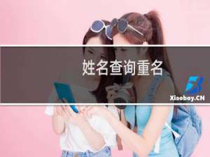 姓名查询重名