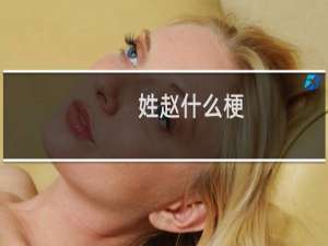 姓赵什么梗