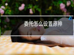 委托怎么设置原神