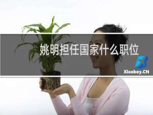 姚明担任国家什么职位