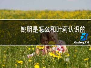 姚明是怎么和叶莉认识的
