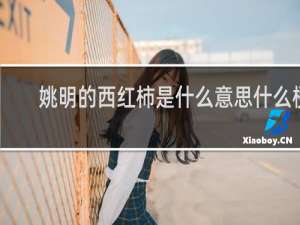 姚明的西红柿是什么意思什么梗