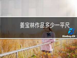 姜宝林作品多少一平尺