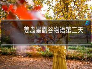 姜岛星露谷物语第二天