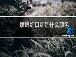 姨妈红口红是什么颜色