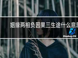 姻缘两相负因果三生途什么意思
