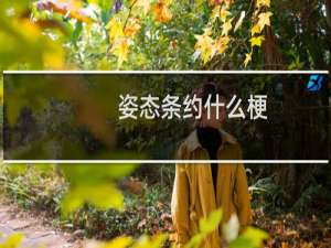 姿态条约什么梗