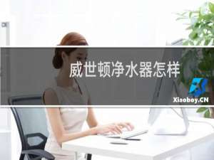 威世顿净水器怎样