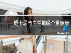 威士忌与白兰地哪个更健康