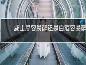 威士忌容易醉还是白酒容易醉