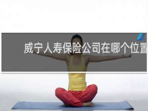 威宁人寿保险公司在哪个位置