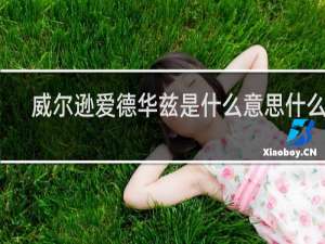 威尔逊爱德华兹是什么意思什么梗