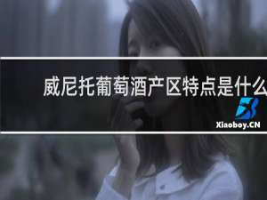 威尼托葡萄酒产区特点是什么