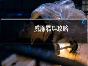 威廉羁绊攻略