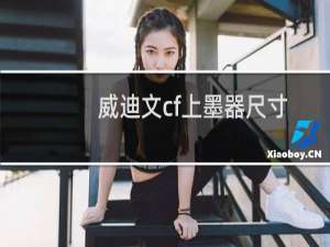 威迪文cf上墨器尺寸